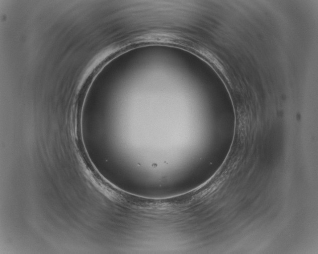 X0000067941131200604201359