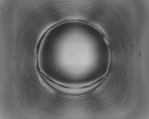 X0000067941132200604201359