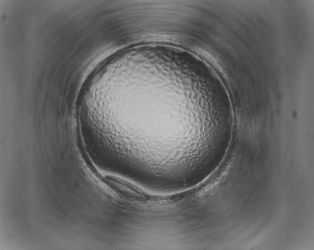 X0000067941133200604201359