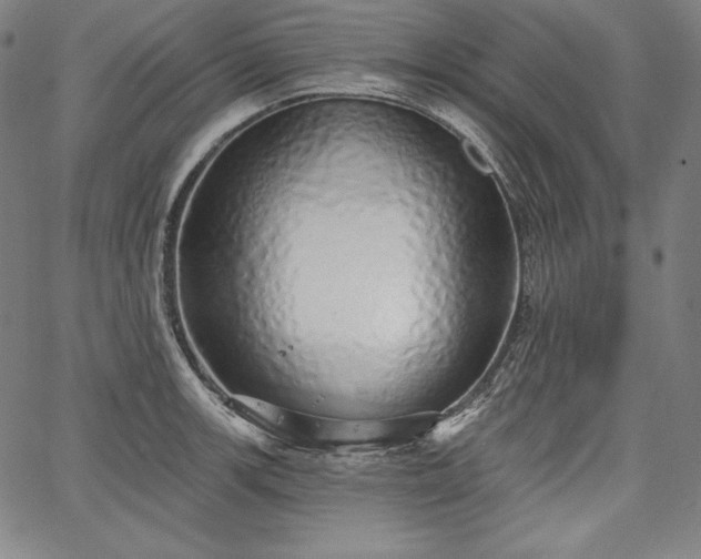 X0000067941139200604201359