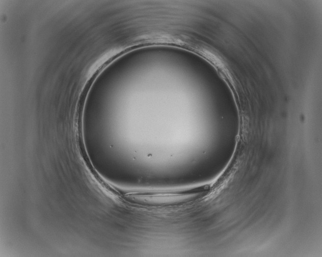 X0000067941141200604201359
