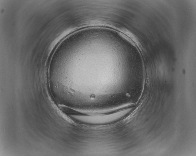X0000067941142200604201359