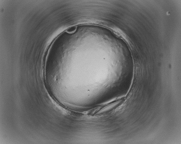 X0000067941143200604201359