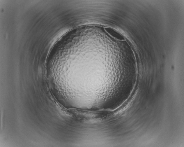 X0000067941145200604201359
