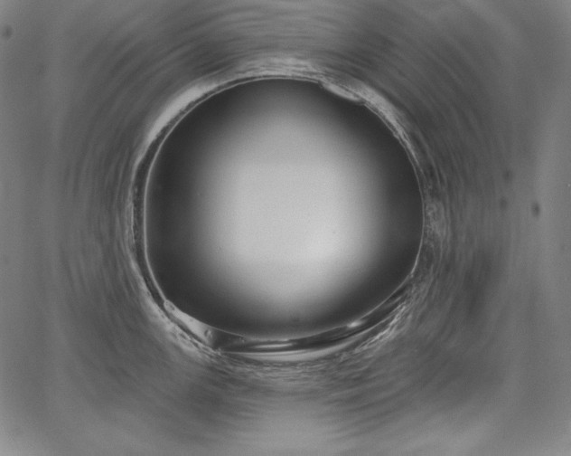 X0000067941147200604201359