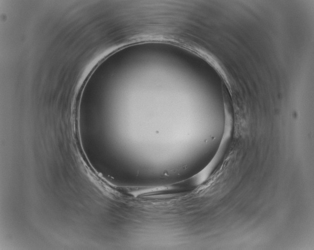 X0000067941148200604201359