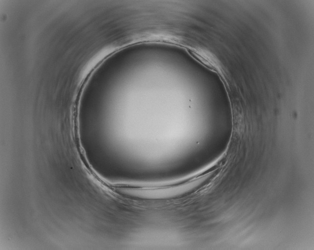 X0000067941151200604201359