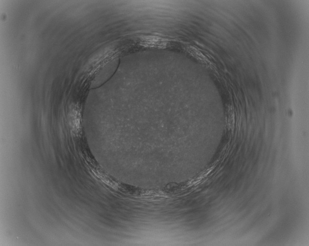 X0000067941154200604201358