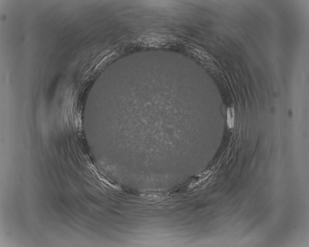 X0000067941155200604201358