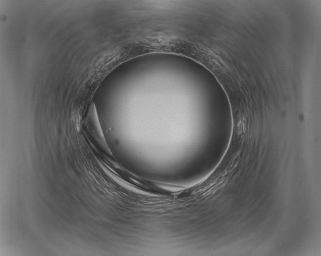 X0000067941156200604201358