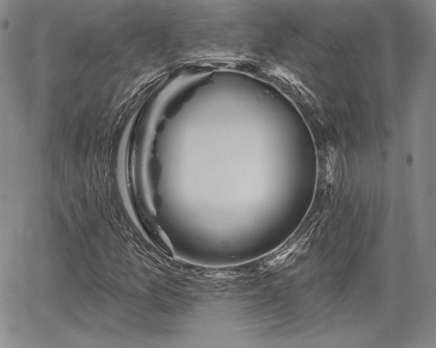X0000067941157200604201358