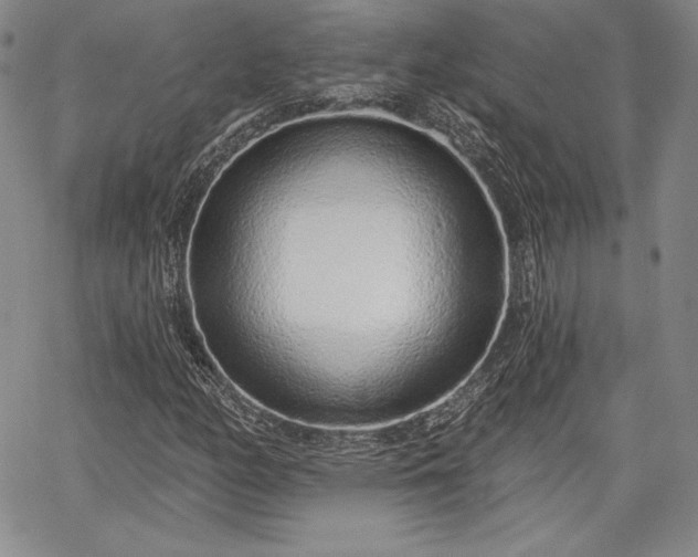 X0000067941158200604201358