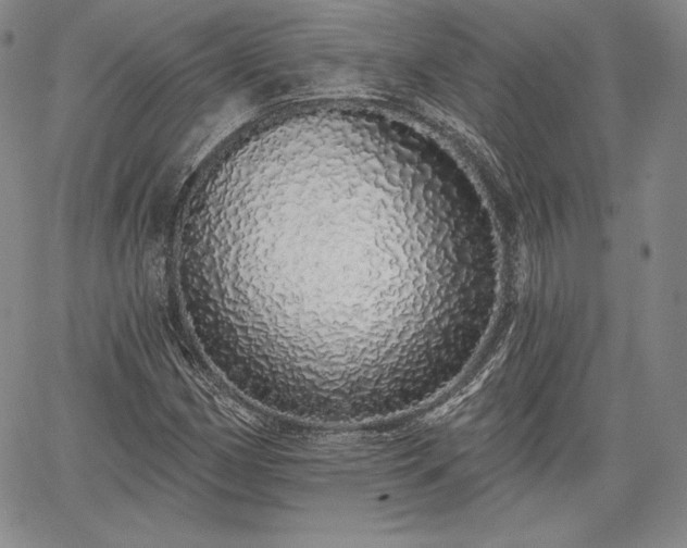 X0000067941162200604201358