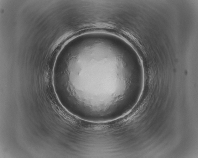 X0000067941163200604201358