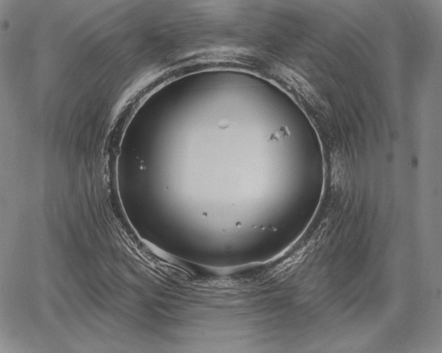 X0000067941164200604201358