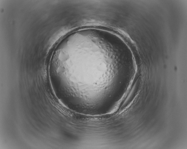 X0000067941167200604201358