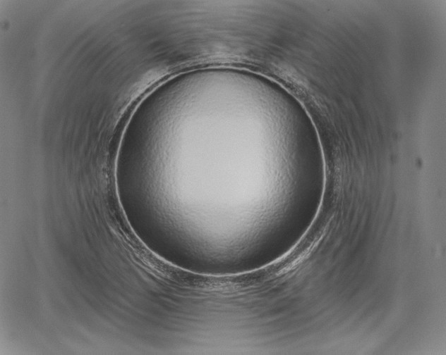 X0000067941170200604201358