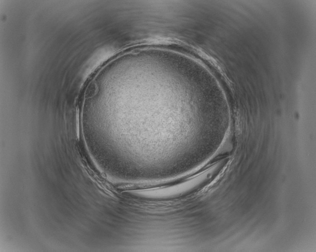 X0000067941171200604201358