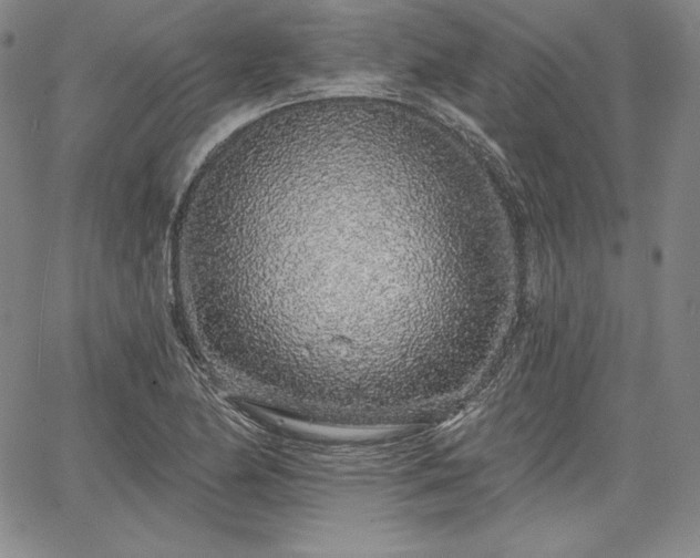 X0000067941174200604201358