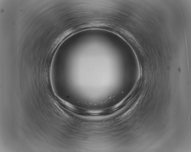X0000067941177200604201358