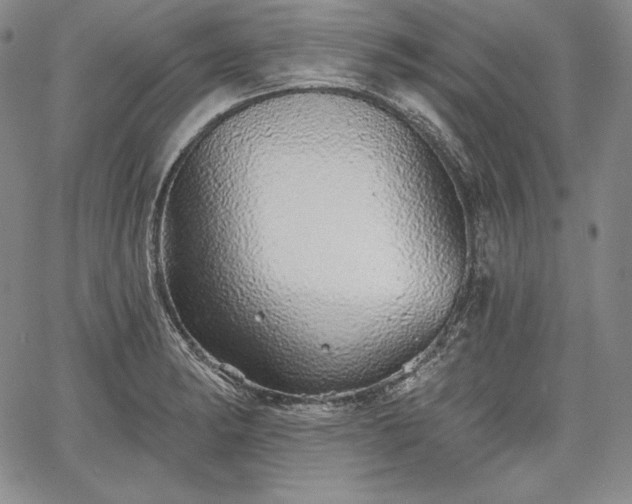 X0000067941182200604201358