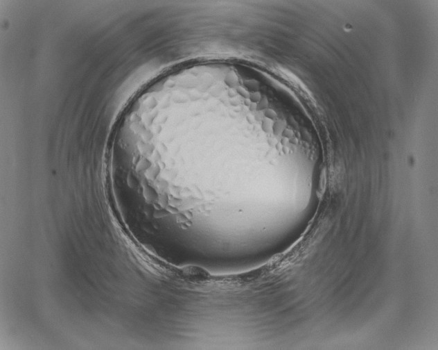 X0000067941183200604201358