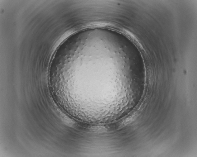 X0000067941186200604201358