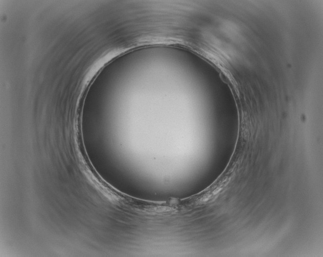 X0000067941187200604201358