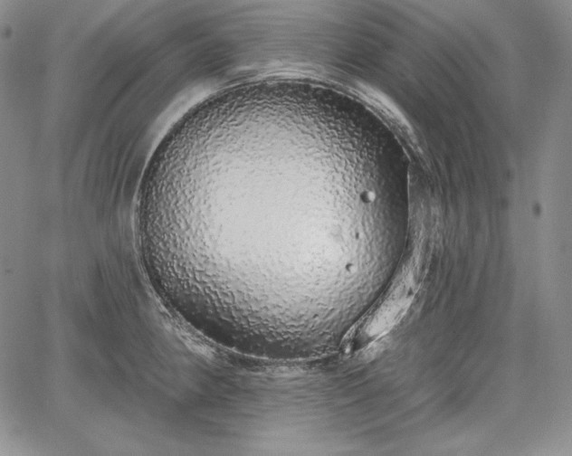 X0000067941190200604201358