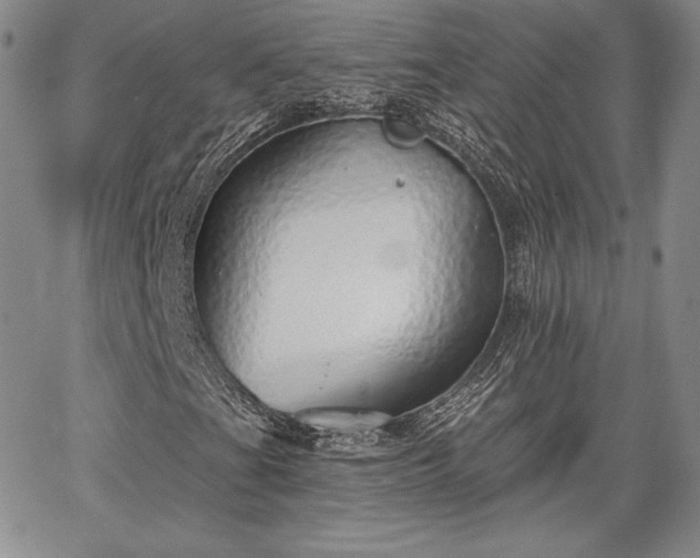 X0000067941201200604201357