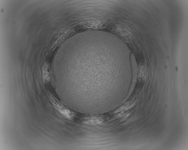 X0000067941202200604201357