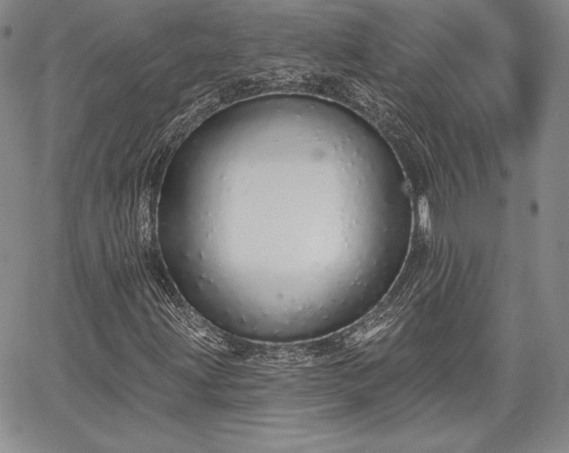 X0000067941203200604201357