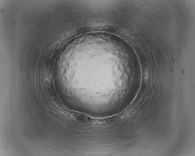 X0000067941204200604201357