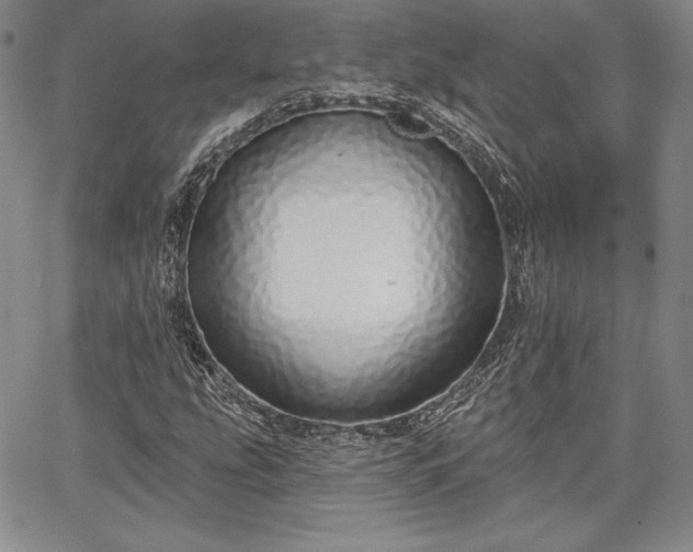 X0000067941207200604201357