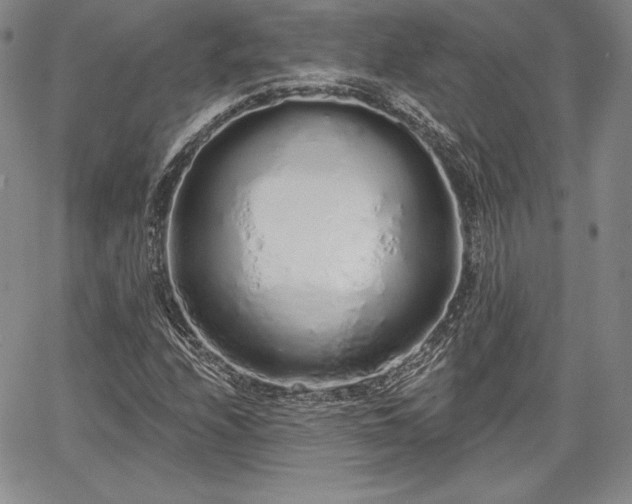 X0000067941208200604201357