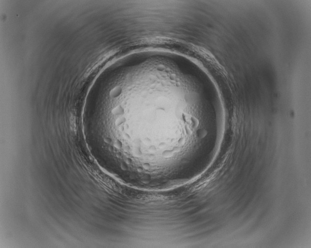 X0000067941209200604201357