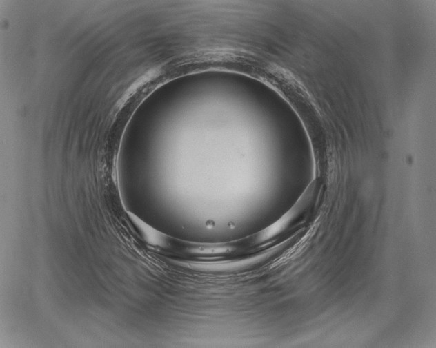 X0000067941210200604201357