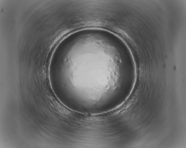 X0000067941212200604201357