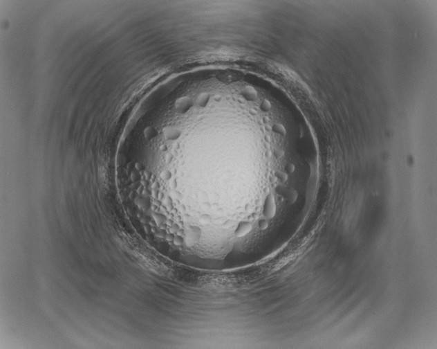 X0000067941217200604201357
