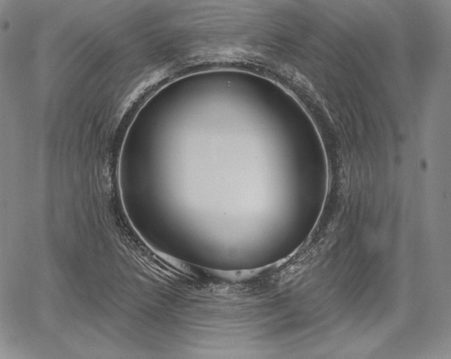 X0000067941218200604201357
