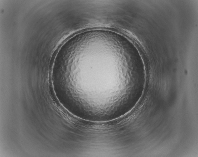 X0000067941220200604201357