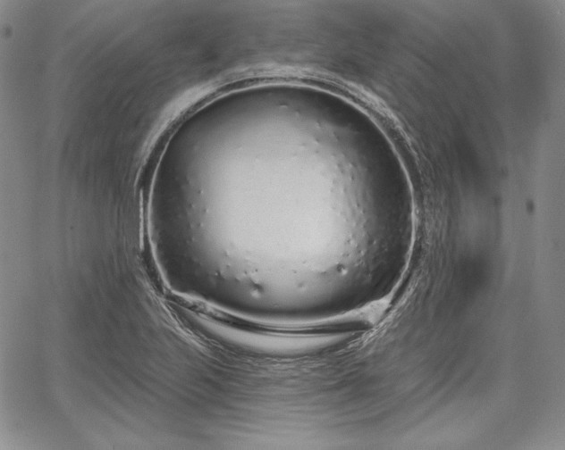 X0000067941223200604201357