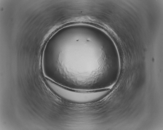 X0000067941224200604201357