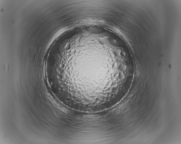 X0000067941227200604201357
