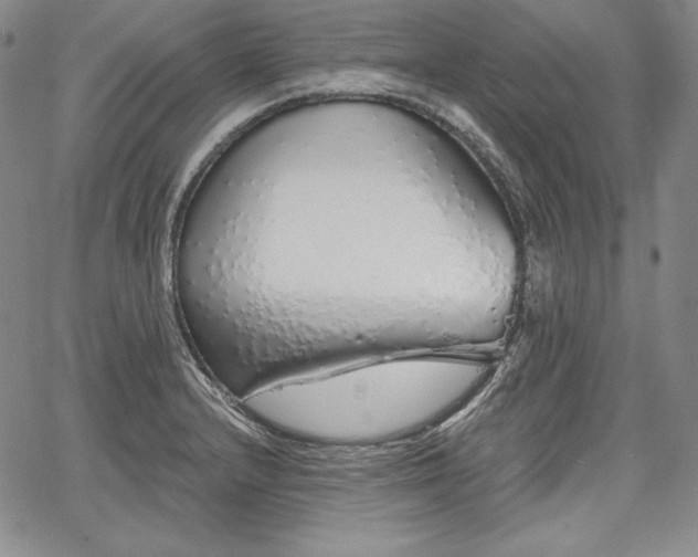 X0000067941232200604201357