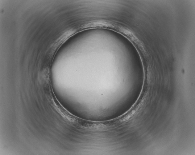 X0000067941233200604201357