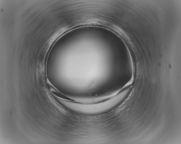 X0000067941234200604201357