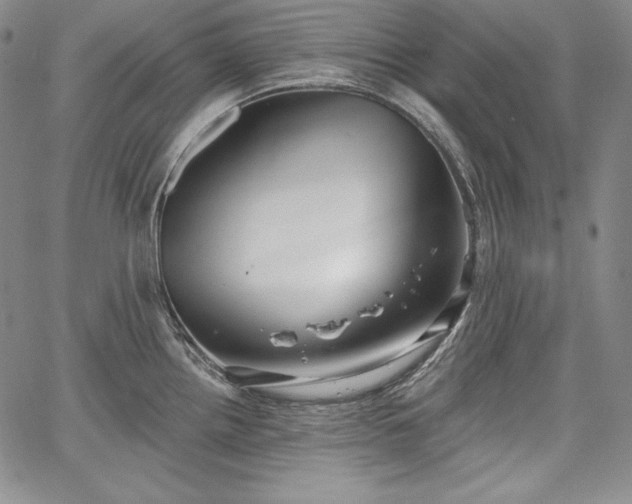 X0000067941242200604201357