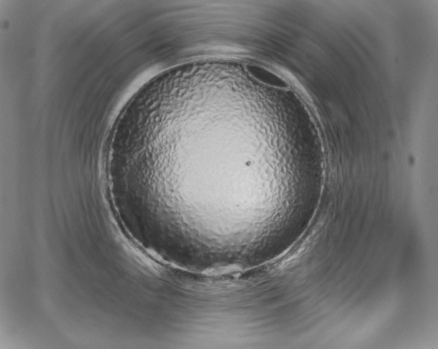 X0000067941243200604201357