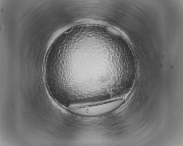 X0000067941247200604201357